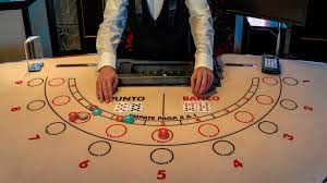 推动JACKS.NL实现本土化战略-华体会体育