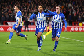 布莱顿球迷的心声：理性与愤怒交织-华体会体育