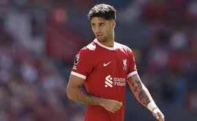 观察：球迷声音与教练抉择-华体会体育