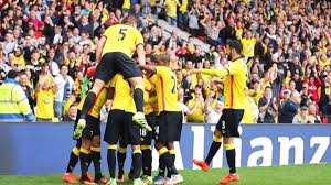 解析：沃特福德本赛季表现与伤病困境-华体会体育