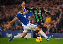 展望：埃弗顿新赛季走势与挑战-华体会体育