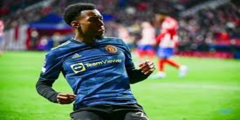  与卡里克的惊人相似之处  - 华体会体育