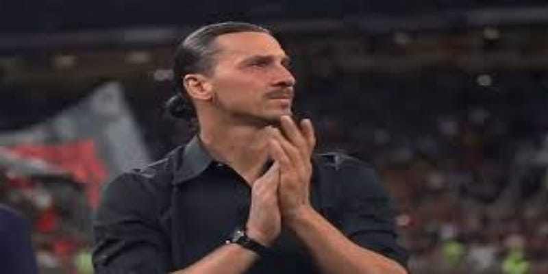 特别关注：感恩与职业总结 -华体会体育