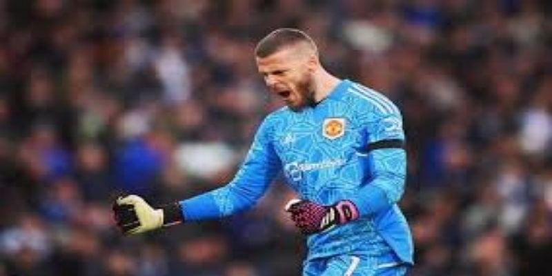 战术层面影响：守门员格局的连锁反应  -华体会体育