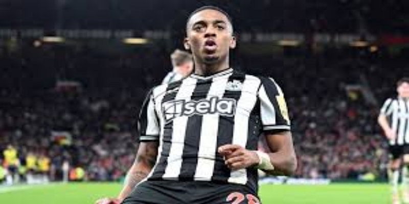 战术适配性：卡贝拉能为纽卡斯尔带来什么？-华体会体育