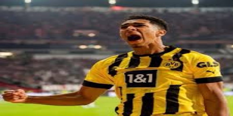 斯旺西的重建计划与波特的战术吸引力-华体会体育独家解析